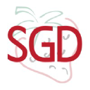strawberrygirldesigns.com