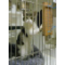 stretchandscratch.com logo icon