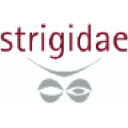 strigidae.nl