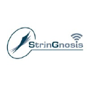 stringnosis.com