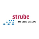 strube-sugarbeet.co.uk