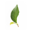 Sugi Capital Management