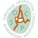 sumatranorangutan.org