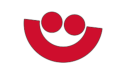 SS  Avatar