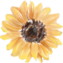 sunflower.lib.ms.us