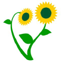 sunflowers-care.co.uk
