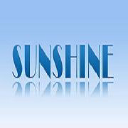 sunshinecheminc.com