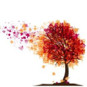 SUPERIOR HOME CARE logo