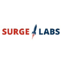 Surge Labs LLC