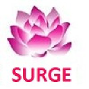 surgesoftware.co.in
