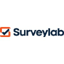 surveylab.co.uk
