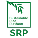 sustainablerice.org
