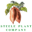 Steele Plant