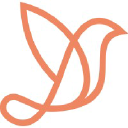 Swift Board