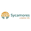 sycamores