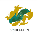 synerg-in.com