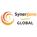 synergene.in