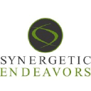 synergeticendeavors.com
