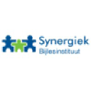synergiek.com