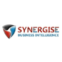synergisebi.com
