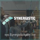 synergisticagility.com