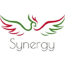 synergy-tradeco.com
