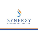 synergyauditing.com