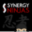 synergyninjas.com