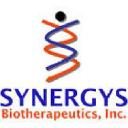 Synergys Biotherapeutics Inc