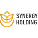 synergysin.com