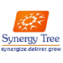 synergytree.com