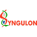 syngulon.com