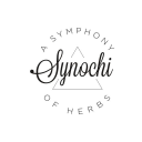 synochi.com