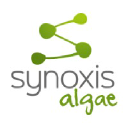 synoxis-algae.com