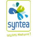 SYNTEA