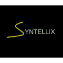 syntellix.com