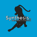 synthesis-srl.com