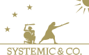 Logo for sys-temic.com