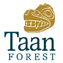 Taan Forest