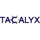 tacalyx.com