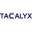 Tacalyx