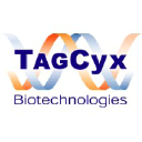 tagcyx.com