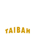 Taibah Travels