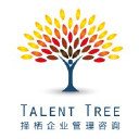 talent-tree.com.cn