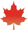Talk Therapy Canada logo