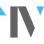 Tehrani & Velez logo