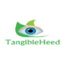 tangibleheedinfotech.com