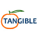 tangiblesurfaceresearch.com