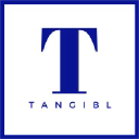 tangiblinc.com
