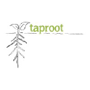 taproot.org.uk